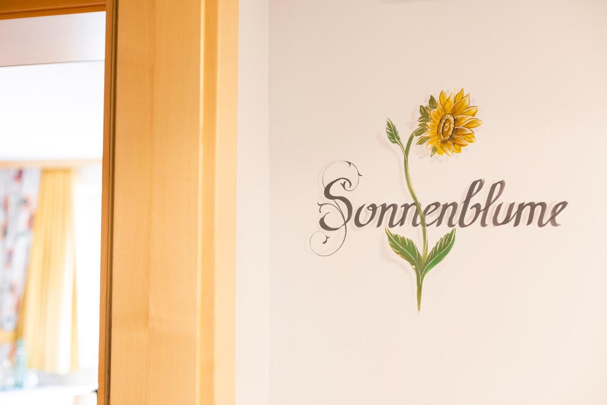 Residenz Theresa Söll Rum bild